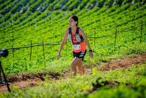 BIB: 
                            <button type="button" onclick="openModal(19162529)" class="btn btn-primary btn-sm float-right btn-popup" data-toggle="modal" data-target=".modal-high-quality">
                        <i class="fas fa-shopping-cart"></i> Add to Cart
                    </button>
                                            <button type="button" onclick="isThisMe(19162529, true)" class="btn btn-success btn-sm float-right btn-popup btn-isme hidden" data-toggle="tooltip" data-placement="bottom" title="นี่คือรูปของคุณใช่ไหม คลิกที่นี่เพื่อเอาเข้าอัลบั้ม">
                        <i class="fas fa-plus"></i> Add to album
                    </button>
                    <button type="button" onclick="isThisMe(19162529, false)" class="btn btn-warning btn-sm float-right btn-popup btn-isnotme hidden">
                        <i class="fas fa-ban"></i> Remove from album
                    </button>